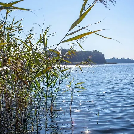 Gospodarstwo agroturystyczne U Przyjaciol Soni *