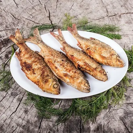 Gospodarstwo agroturystyczne U Przyjaciol Soni