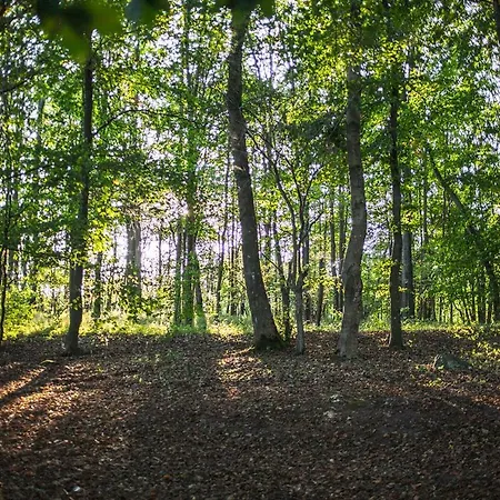 U Przyjaciol Soni Vakantieboerderij *