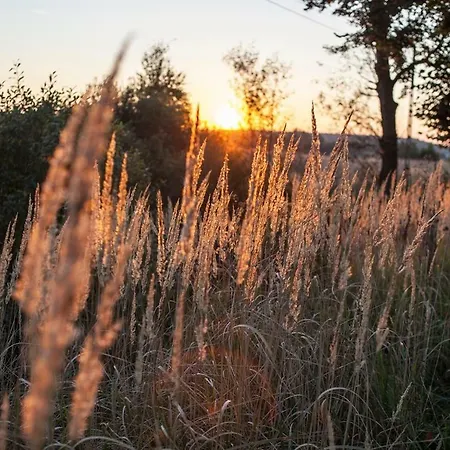 Gospodarstwo agroturystyczne U Przyjaciol Soni