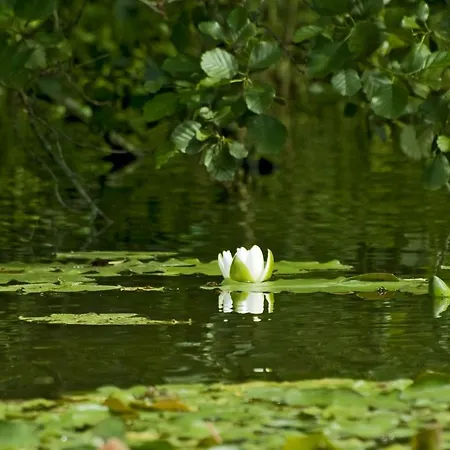 U Przyjaciol Soni Gospodarstwo agroturystyczne