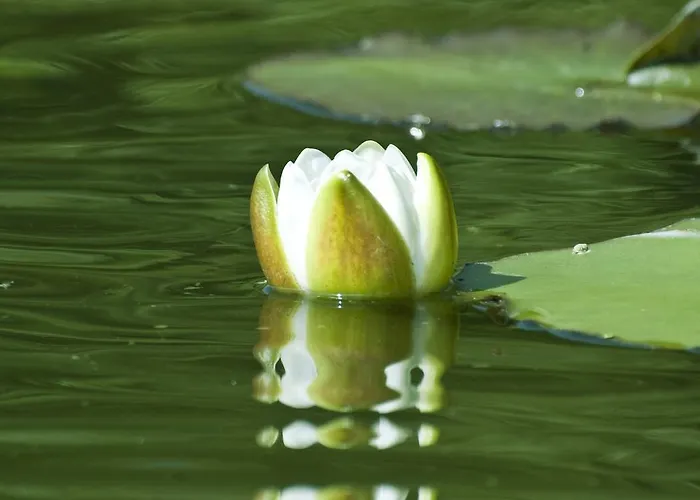 Vakantieboerderij U Przyjaciol Soni Mecidol