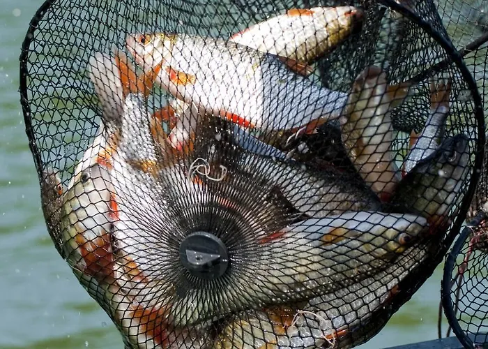 U Przyjaciol Soni Vakantieboerderij