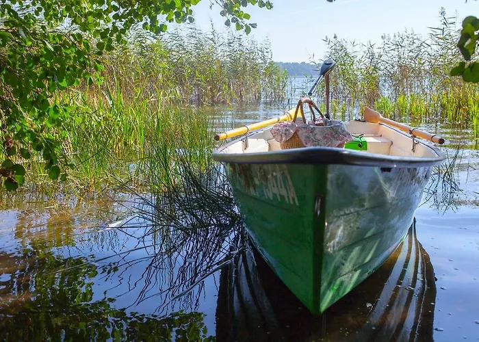 U Przyjaciol Soni Mecidol