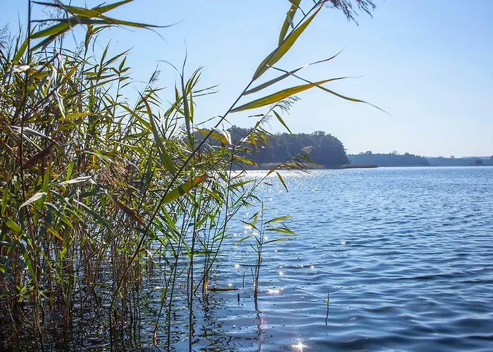 Vakantieboerderij U Przyjaciol Soni *