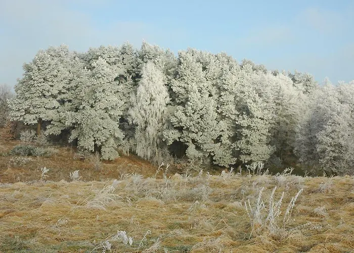 U Przyjaciol Soni Vakantieboerderij