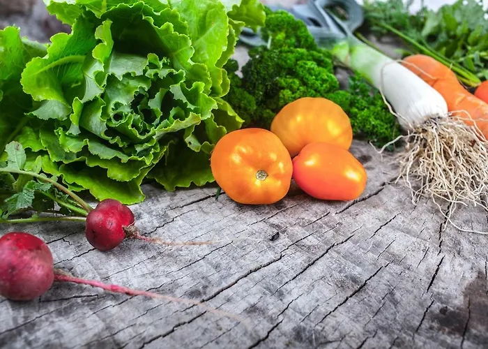 U Przyjaciol Soni Vakantieboerderij Mecidol