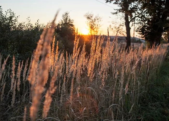 Vakantieboerderij U Przyjaciol Soni