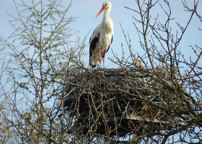 U Przyjaciol Soni Vakantieboerderij *