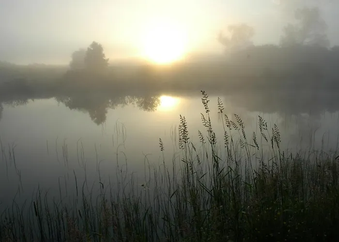 U Przyjaciol Soni * Mecidol