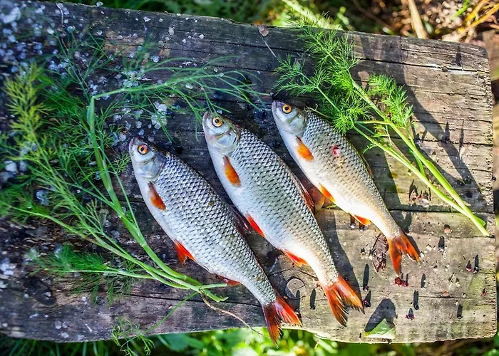 Vakantieboerderij U Przyjaciol Soni *