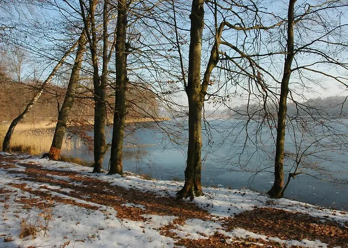 Vakantieboerderij U Przyjaciol Soni *