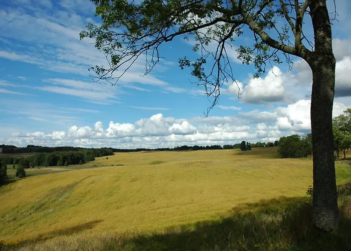 U Przyjaciol Soni * Mecidol