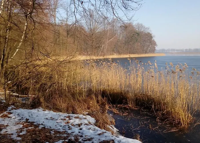 Vakantieboerderij U Przyjaciol Soni *