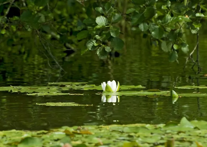 U Przyjaciol Soni Vakantieboerderij