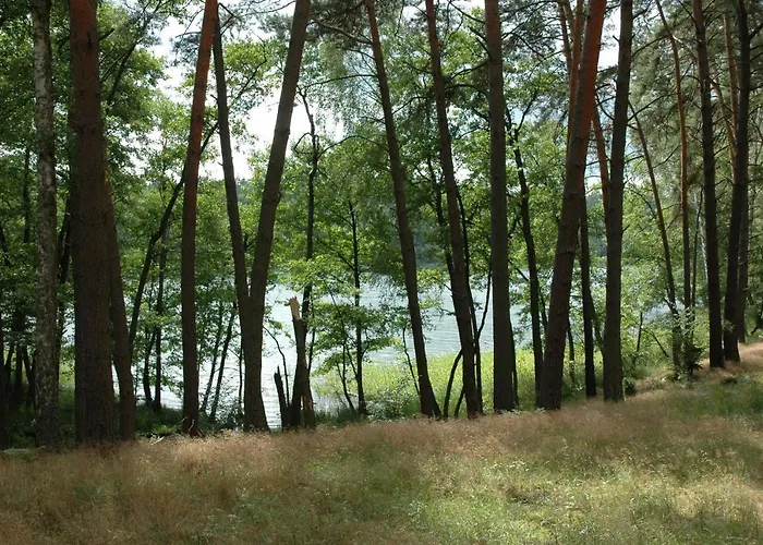 Vakantieboerderij U Przyjaciol Soni Mecidol