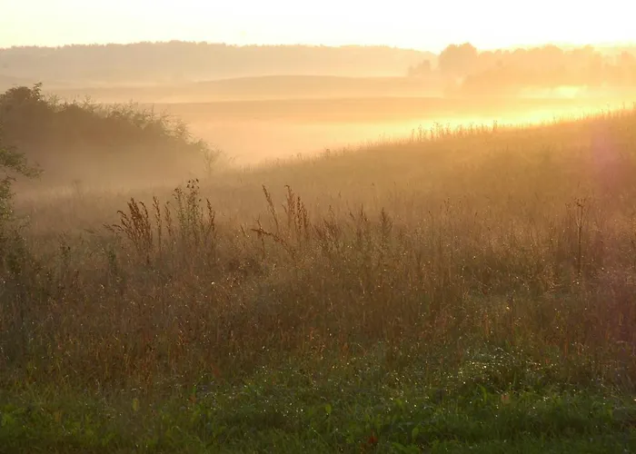 U Przyjaciol Soni * Mecidol