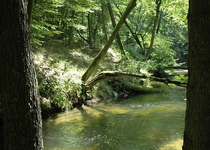 U Przyjaciol Soni Vakantieboerderij *